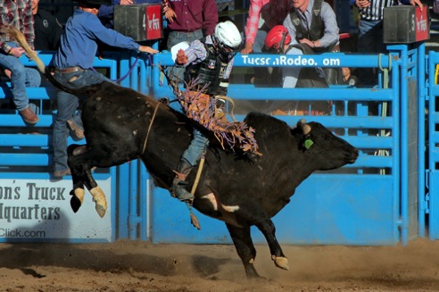 rodeo 14